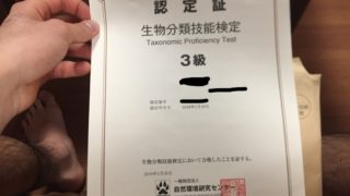 生物分類技能検定