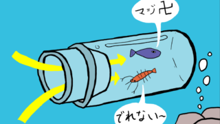 ビン罠