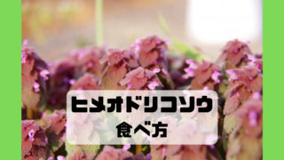 ヒメオドリコソウ 食べ方