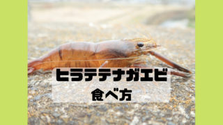 ヒラテテナガエビ 捕まえ方 食べ方 味