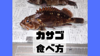 カサゴ 捌き方 食べ方