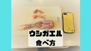 ウシガエル さばき方 食べ方