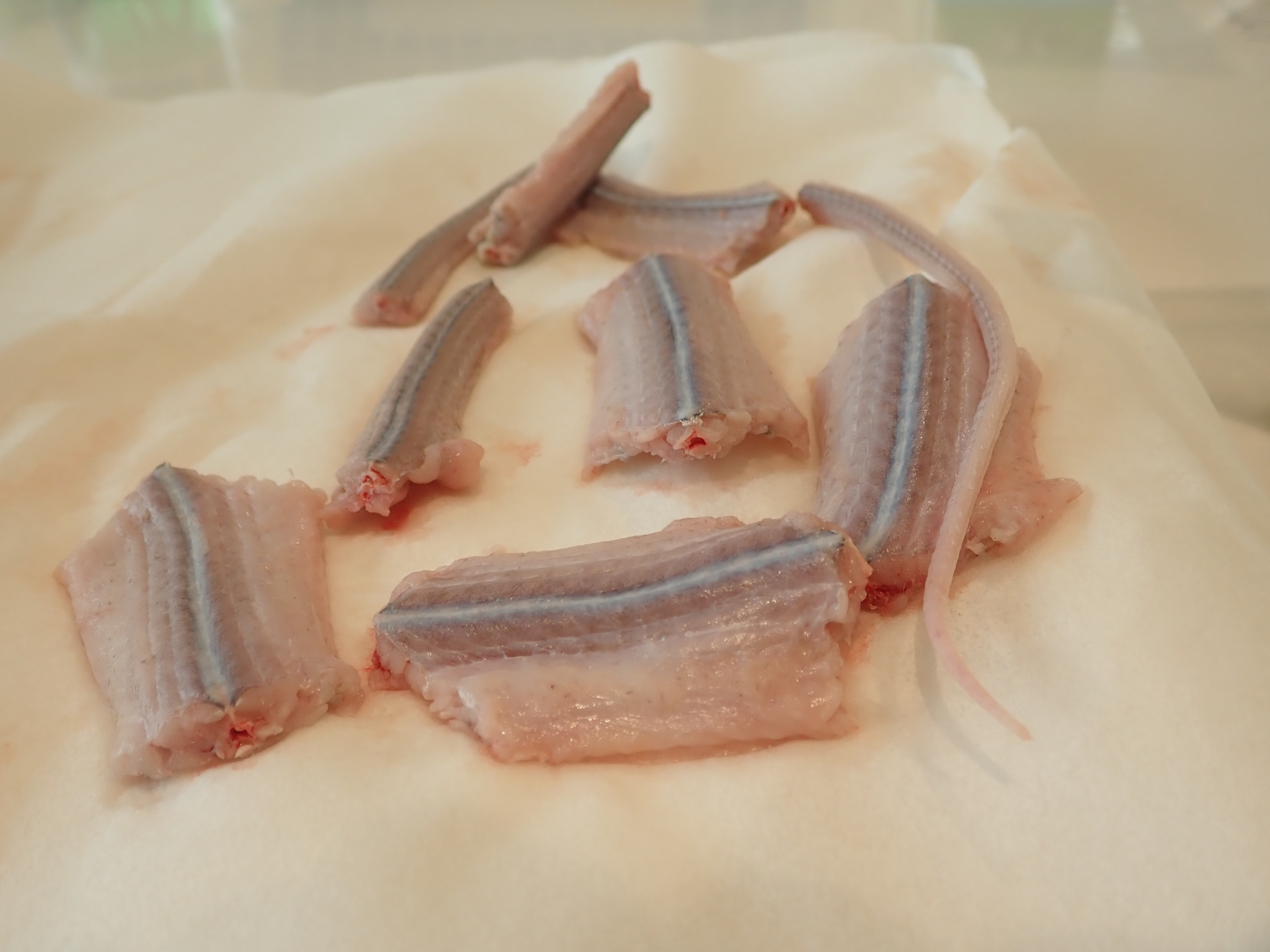 ヘビ アオダイショウ のさばき方 食べ方 3種類の下処理で調理する唐揚げレシピ ガリオの地球飯