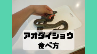 アオダイショウ さばき方 食べ方