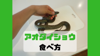 アオダイショウ さばき方 食べ方