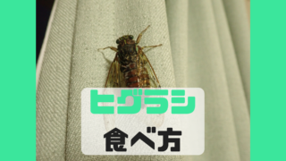 ヒグラシ 食べ方