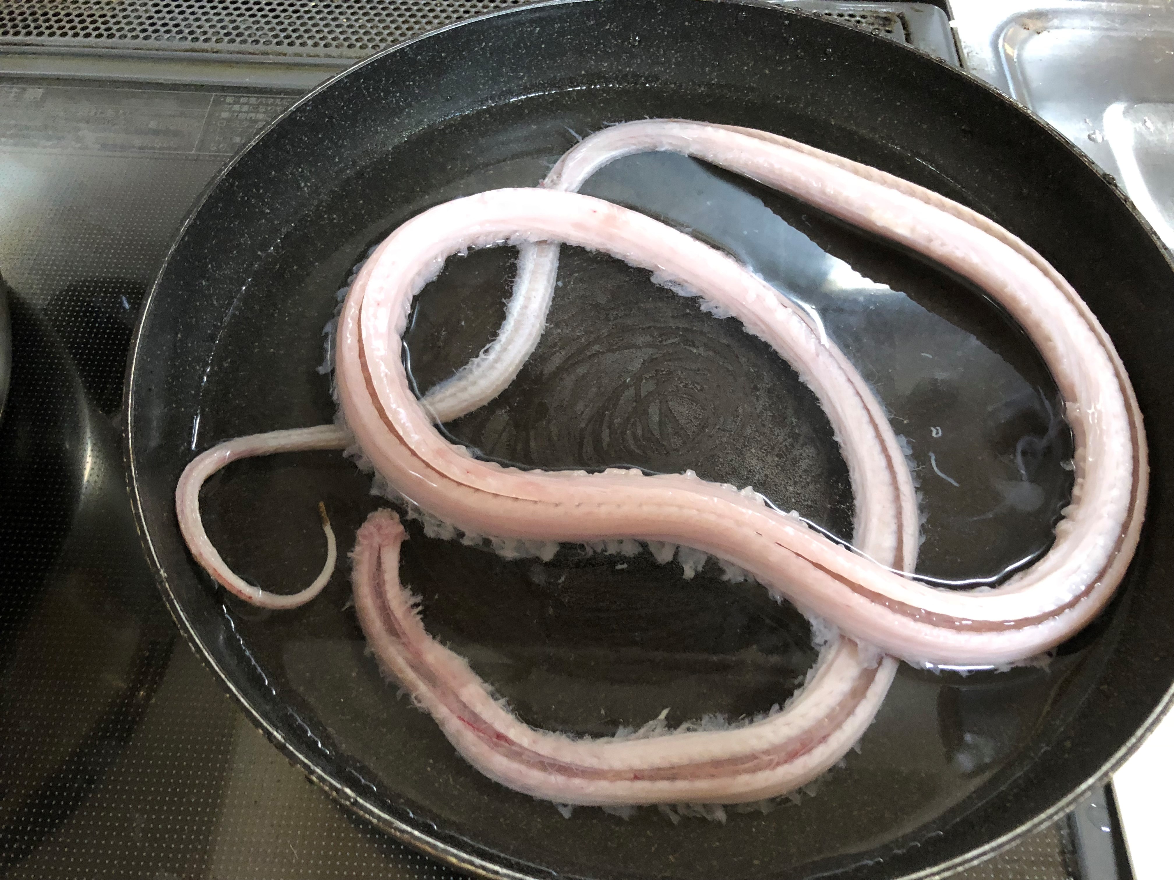 シマヘビのさばき方 食べ方 味 超シンプルなシマヘビスープの料理法 ガリオの地球飯
