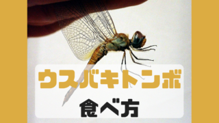 ウスバキトンボ 食べ方 味