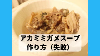 ミシシッピアカミミガメ 食べ方 スープ