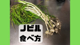 ノビル 食べ方 採取方法 味 レシピ