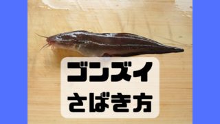 ゴンズイ さばき方