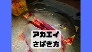 アカエイ さばき方 締め方 可食部位